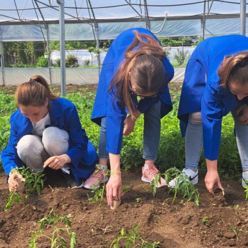 Colegiul Agricol &quot;Vasile Adamachi&quot; din Iași sprijină elevii cu un nou proiect