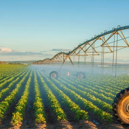 Universitatea de Științele Vieții din Iași va deschide un centru de cercetare pentru agribusiness