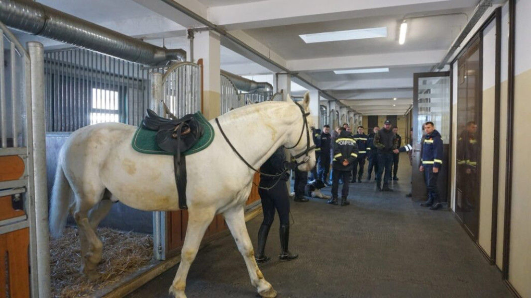 Cursuri despre salvarea animalelor, reluate la Universitatea de Științele Vieții din Iași