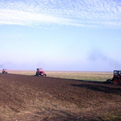 Creșterea prețurilor terenurilor agricole în județul Iași