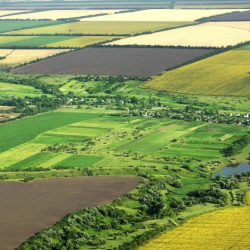 Investitorii străini dețin aproape 400 de hectare de teren agricol în Iași