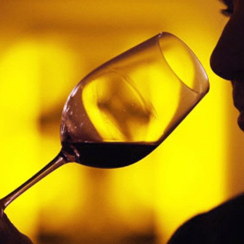 Spania caută 10.000 de voluntari pentru un experiment științific legat de consumul de vin