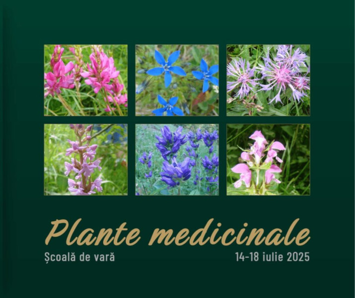 Universitatea de Medicină și Farmacie „Grigore T. Popa” din Iași a anunțat deschiderea procesului de selecție pentru participarea la Scoala de vară „Plante medicinale”. Acest eveniment educațional este destinat studenților din primul an de la Facultatea de Farmacie, specializările Farmacie și Cosmetica Medicală și Tehnologia Produsului Cosmetic.