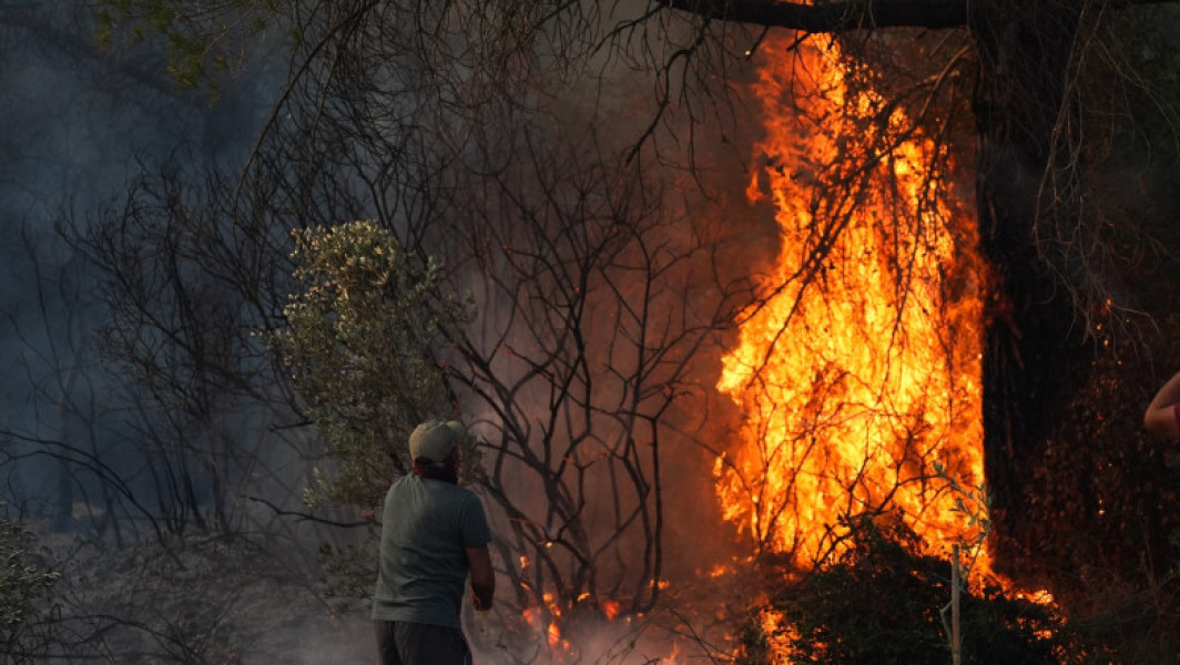Video Incendii de vegetație în provincia Izmir din Turcia. 77 de focare au izbucnit în doar 24 de ore. Peste 1.000 de pompieri mobilizați