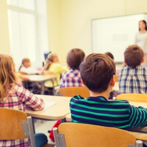 Ministrul Educaţiei: Aşa cum avem în Italia și Germania clase cu 30 de elevi o să avem și în România