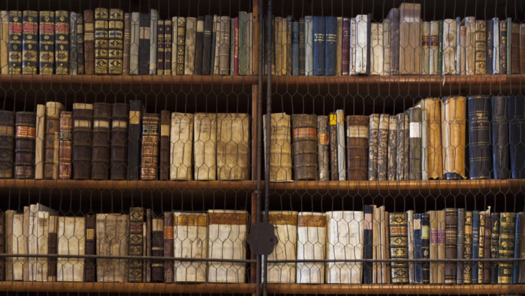 Foto Cea mai veche bibliotecă din Ungaria, invadată de gândaci. 100.000 de cărți rare ar putea fi distruse. Măsuri urgente de dezinsecție