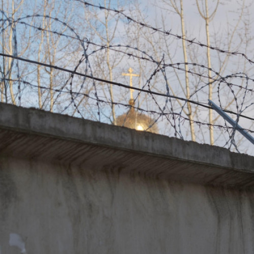 Infractori ruşi au încercat să introducă droguri într-o închisoare din Nijni Novgorod cu ajutorul unei pisici