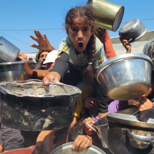 ONU declară oficial stare de foamete în orașul Gaza. Un sfert din populație nu are ce mânca