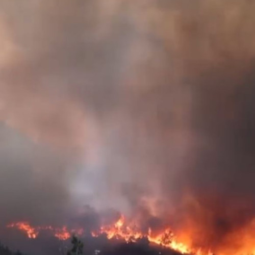 renunțarea la peste 45.000 de hectare de păduri și terenuri agricole în Grecia din cauza incendiilor