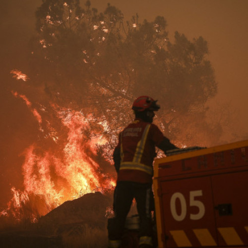 Un pompier ucis în Portugalia în urma unui incendiu forestier