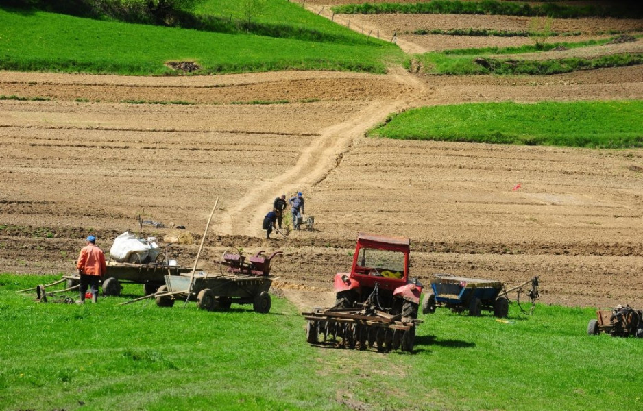 Creștere a firmelor agricole active în Iași, în ciuda insolvențelor în sector