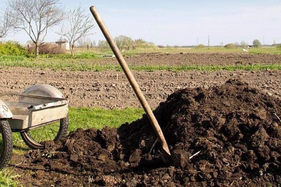 DN Agrar, cel mai mare producător privat de lapte din UE, planifică extinderea producției