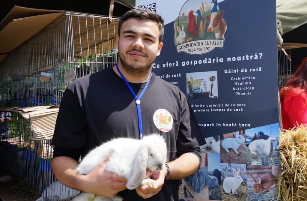 Studentul ieșean care a vaccinat sute de iepuri în campanie gratuită