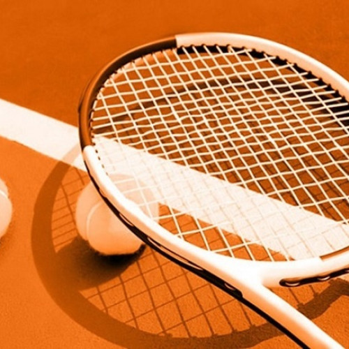 Patru bărbaţi arestaţi în Bulgaria pentru manipularea meciurilor de tenis