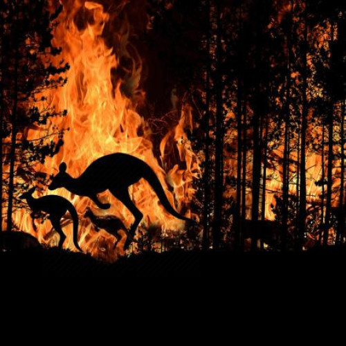 Temperaturi record și incendii de vegetație grave în Australia și Noua Zeelandă